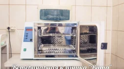 Ветеринарная клиника Вита изображение 18