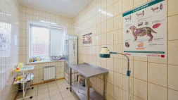 Ветеринарная клиника Вита изображение 14