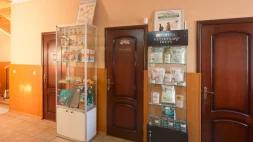 Ветеринарная клиника Вита изображение 17
