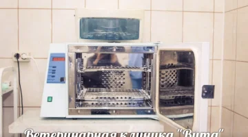 Ветеринарная клиника Вита изображение 18