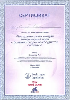 Шубина Ольга Александровна
