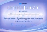 Шапкин Андрей Валерьевич